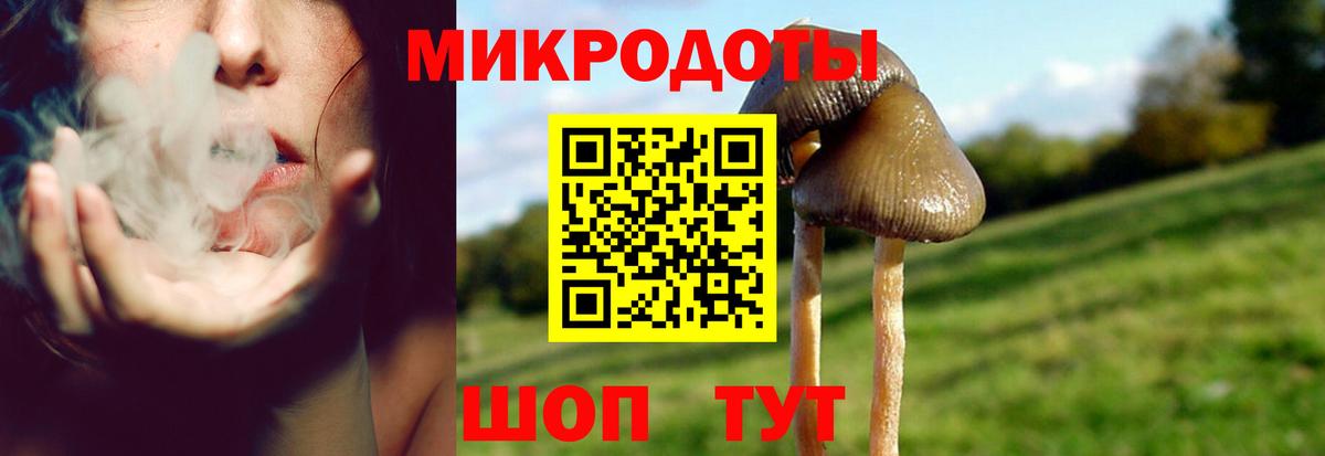 Галлюциногенные грибы Psilocybine cubensis  Вход с VPN  Тавда 