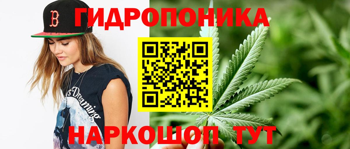 Бошки марихуана индика Тавда